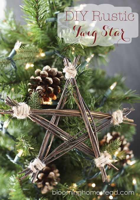 DIY Rustic Twig Star by Blooming Homestead Rustic Christmas Diy, Twig Stars, Yellow Bliss Road, Pine Needle Crafts, Twig Crafts, Rama Seca, Rustic Christmas Ornaments, Handmade Christmas Ornaments, Noel Christmas