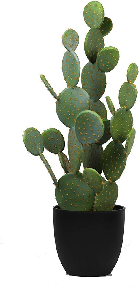 Fake Cactus Plants, Fake Cactus, Artificial Cactus, Faux Cactus, Fake Succulents, Cactus Desert, Pear Cactus, Cactus Pot, Prickly Pear Cactus