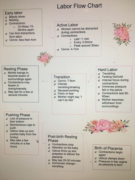 Labor Flow Chart Labor And Delivery Nurse Essentials, Easier Labor And Delivery, Fundal Height Chart Pregnancy, Midwife Study Notes, Labor And Delivery Nursing School, Nursing Labor And Delivery, Midwifery Student Notes, Labor And Delivery Nurse Notes, Midwife Notes