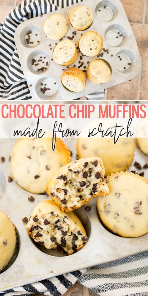 How To Make Homemade Chocolate Chip Muffins, Soft Chocolate Chip Muffins, Home Made Chocolate Chip Muffins, Super Moist Chocolate Chip Muffins, Easy Moist Muffins, Simple Chocolate Chip Muffin Recipe, Easy Chocolate Chip Muffins Simple, Baked Goods From Scratch, Simple Chocolate Chip Muffins