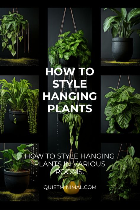 Create or buy frames that hold pots and hang them on the wall. Hanging Plants In Living Room Ideas, How To Style Hanging Plants, Bathroom Plant Hanging, Hanging Plants Pots, Hanging Plants Indoor Aesthetic, Living Room With Hanging Plants, Wall Hanging Plants Indoor Living Rooms, How To Decorate Your Home With Plants, Hanging Pot Plants Indoor