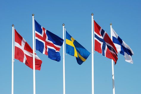 The flags of Denmark, Iceland, Sweden, Norway and Finland. Nordic Architecture, Denmark Flag, Student Info, International Scholarships, Countries And Flags, Scandinavian Food, Scandinavian Countries, European Home Decor, Flag Photo