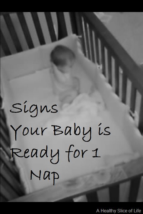 signs your baby is ready for 1 nap One Nap Schedule Baby, 11 Month Old Nap Schedule, 11 Month Old Schedule, 11 Month Old Baby, Healthy Slice, Baby Schedule, Sleep Late, Baby Nap, Baby Q