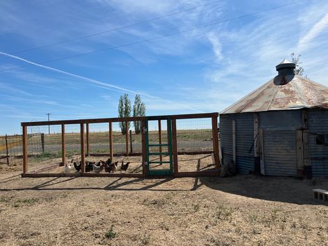 Grain Bin Chicken Coop Ideas, Chicken Coop Silo, Silo Chicken Coop Ideas, Grain Bin Chicken Coop Silo House, Silo Chicken Coop Hen House, Grain Silo Chicken Coop, Silo Chicken Coop, Grain Bin Chicken Coop, Quack Shack