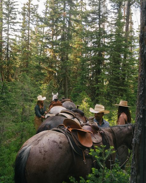 A trail ride memory Reuniting with the Wyoming crew soon Ranch Horse Photography, Adventurers Aesthetic, Western Horse Riding Aesthetic, Montana Cowboy, Urban Cowboy Style, Ranch Animals, Trail Riding Horses, Horse Back Riding, Ranch Horse