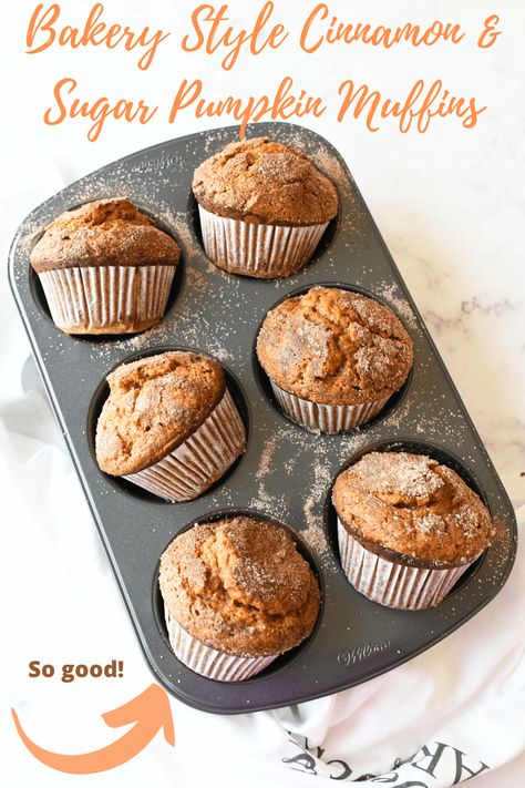 Jumbo Bakery Style Pumpkin Muffins- If you are looking to bake up 6 of the BEST-tasting, perfectly spiced, jumbo, bakery-style Pumpkin Muffins, you have come to the right post. This recipe makes the fluffiest, yummiest muffins you will ever try! They are moist, and feature a crisp cinnamon & sugar top. #pumpkinmuffins #jumbomuffins #jumbopumpkinmuffins #muffins #pumpkin #pumpkinspice via @sizzlingeats Muffin Photography, Nut Breads, Brekkie Ideas, Blueberry Yogurt Muffins, Best Pumpkin Muffins, Recipes Muffins, Muffins Pumpkin, Double Chocolate Chip Muffins, Bread Biscuits