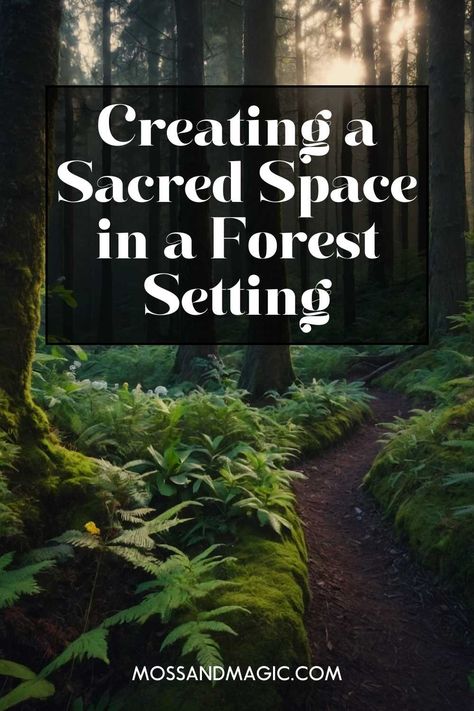 Creating a sacred space in a forest setting can be a deeply rewarding practice, allowing you to connect with nature and find peace in the solitude of the woods. Forest Meditation Space, Sacred Meditation Space, Altar In The Woods, Spiritual Gardening, Forest Witchcraft, Outdoor Meditation Space, Nature Sketching, Forest Sanctuary, Horticulture Therapy