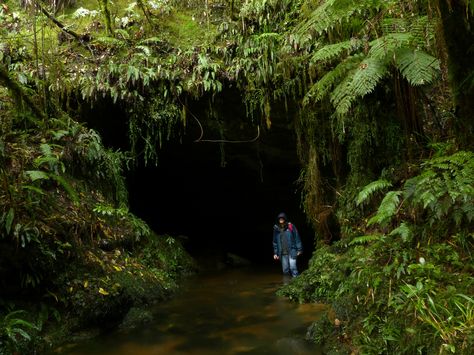 Cave Plant, Jungle Entrance, Stranded Island, Hope Background, Dnd Pirate, Landscape Practice, Lost Temple, Cave Story, Limestone Caves