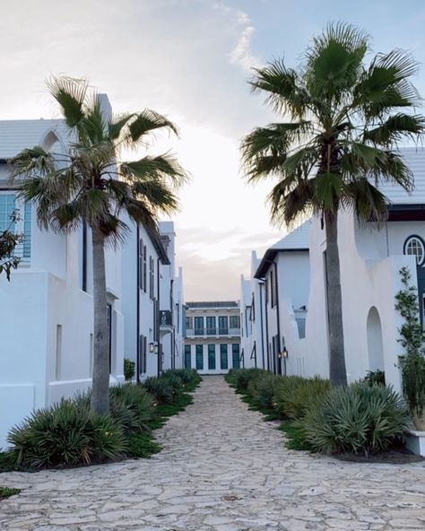 alys beach aesthetic seaside florida instagram filler picture home decor vacation nude neutral colors palmtree vacation tropical palm tree Alys Beach Florida, Instagram Filler, Seaside Florida, Vacation Tropical, Alys Beach, Tropical Palm, Beach Aesthetic, Beach Florida, Palm Tree