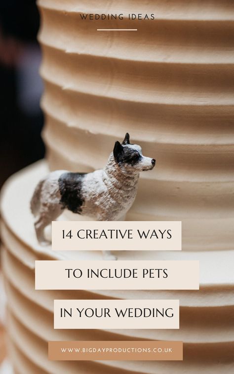 How To Include Pets In Your Wedding: 14 Creative Ways by Big Day Productions | UK Wedding Photo + Film | Natural, Fun, Relaxed. Planning for your big day and want to include your fur baby? Pets are the most adorable additions to the family, so incorporating them into the biggest celebration of your life is natural. Discover more. pet wedding attire, wedding photos with pets, pet-themed wedding decor, dog ring bearer, wedding photography with pets, animal lovers' wedding, wedding dog ideas Dog Wedding Decorations, Pet Memorial Wedding, Dog Table Wedding, Pets Included In Wedding, Dog Memorial Wedding, How To Include Pets In Wedding, Dog And Wedding, Dog Ideas For Wedding, Dogs Included In Wedding