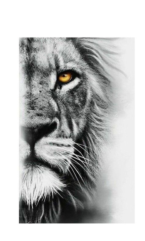 Cai Arabi, Lion Forearm Tattoos, Lion Art Tattoo, Lion Eyes, Lion Sketch, Tattoo Lion, Black And White Lion, Lion Tattoo Sleeves, Lion Head Tattoos