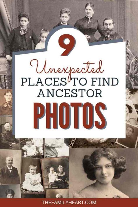 Ancestry Book, Ancestry Photos, Free Genealogy Sites, Family History Projects, Genealogy Organization, Family Tree Research, Genealogy Websites, Ancestry Family Tree, Genealogy Forms