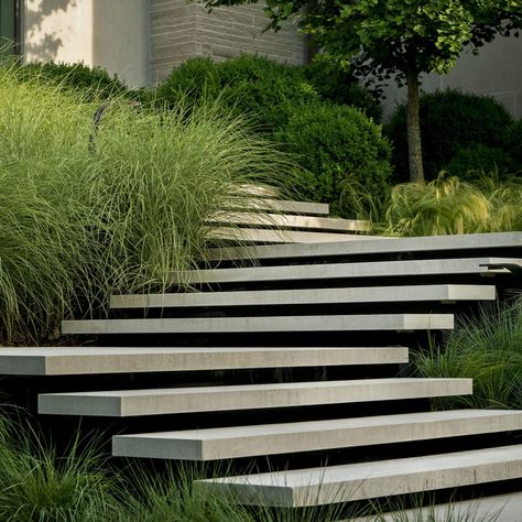 Crater Hill – Page | Duke Landscape Architects | #landscapearchitecture #gardendesign #swimmingpool #poolhouse #driveway #entryway Landscape Stairs, Garden Stairs, Concrete Stairs, Outdoor Steps, Floating Stairs, Garden Steps, Outdoor Stairs, Concrete Steps, Modern Landscaping