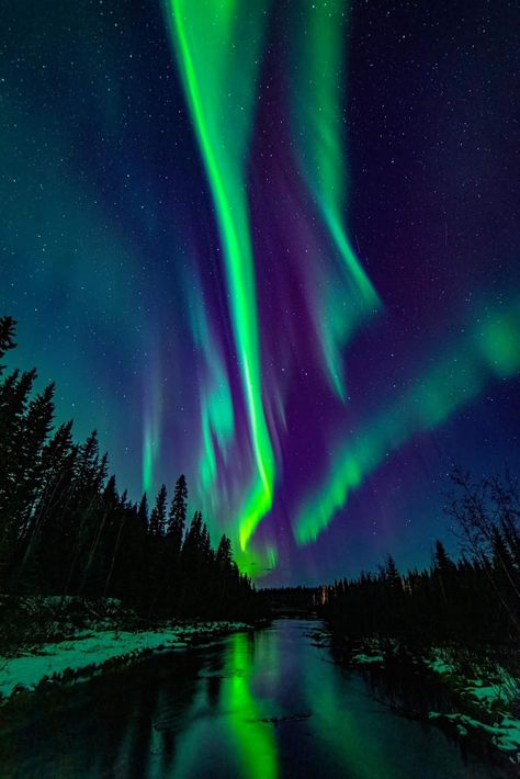 Chena slough North Pole North Pole Lights, North Pole Painting, North Pole Aesthetic, Aurora Borealis Aesthetic, Colourful Scenery, North Lights, Northern Lights Photography, Aurora Sky, Northern Lights Painting