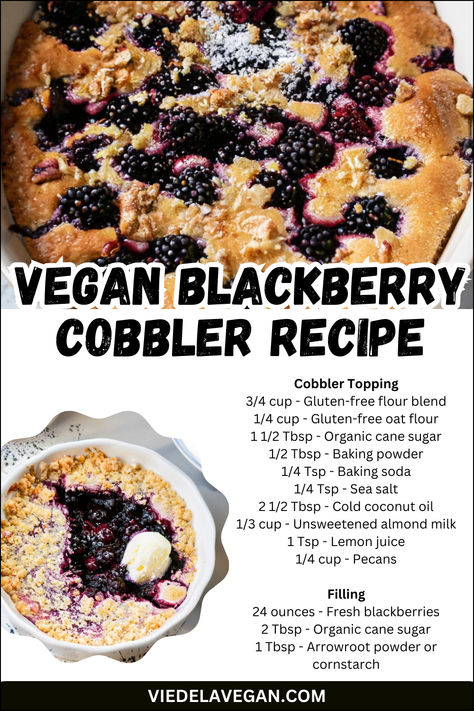 Vegan Blackberry Cobbler Recipe Vegan Blackberry Cobbler, Vegan Cobbler, Science Food, Blackberry Cobbler Recipe, Cobbler Recipes Easy, Healthier Treats, Quick Vegan, Blackberry Cobbler, Guilt Free Dessert