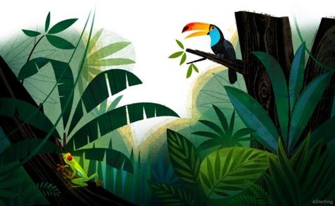 toucans and frogs Alley Cats, Forest Drawing, 동화 삽화, Jungle Illustration, Bg Design, Jungle Art, Abc Book, Forest Illustration, Alley Cat