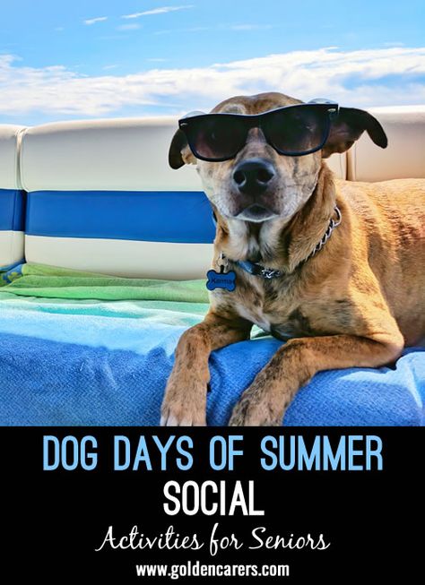 Dog Days of Summer Social: The “dog days of summer” are the hot and humid days that stretch out in the middle of summer. Celebrate these hot and lazy days with a social for your residents. Northwest Passage, Cats And Birds, Sailing Quotes, Sailing Life, Sailing Decor, Boat Living, Living On A Boat, Buy A Boat, Dog Days Of Summer