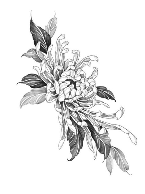 Chrysanthemum Leg Tattoo, Chrysanthemum Flower Tattoo Design, Flower Tattoo Chrysanthemums, Chrysanthemum Tattoo Design, Crisantemo Tattoo, Chrysanthemum Flower Tattoo, Chrysanthemum Design, Floral Back Tattoos, Cherub Tattoo