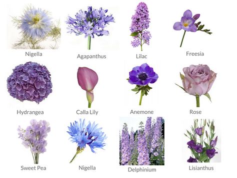 Cheat Sheets to Spring Wedding Flowers - WeddingPlanner.co.uk Purple And Blue Flowers Aesthetic, Blue Purple Bouquet Wedding, Uk Spring Flowers, Purple Summer Flowers, Types Of Flowers For Bouquet, Pink And Purple Wedding Flowers, Flowers By Season, Engagement Bouquet, Purple Spring Flowers