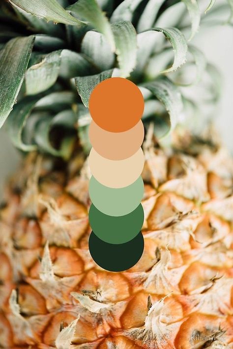 Pineapple Colour Palette, Pineapple Color Palette, Bedroom Color Combos, Aesthetic Color Combos, Tropical Color Scheme, 9 Color Palette, Cheap Cabin, Tropical Color Palette, By Kilian