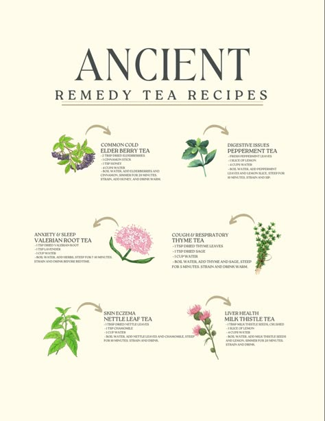 Herbal Tea Remedies, Tea Blends Recipes, Herbal Tea Benefits, Tea Remedies, Medicinal Tea, Medical Herbs, Healing Tea, Herbal Teas Recipes, Tea Health Benefits