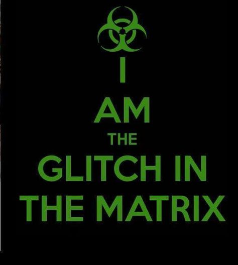 Matrix Glitch, Matrix Theory, Psychology Philosophy, Simulation Theory, Party Rules, The Glitch, Glitch In The Matrix, I Salute You, Halloween Everyday