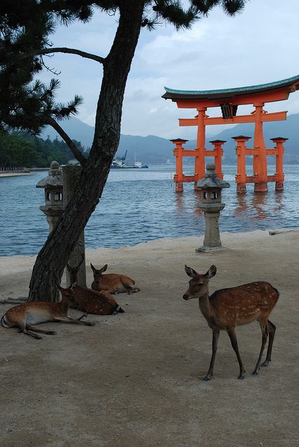 Japanese sacred deer. "The island was full of sacred deer. They were not afraid, for no one hurt them."  - from THE BIG WAVE by Pearl S. Buck. Free activity template + sensory, unique teaching ideas at https://litwits.com/the-big-wave Gunung Fuji, Torii Gate, Kyushu, Airbrush Art, Visit Japan, Hiroshima, Yokohama, Japanese Garden, Japanese Culture