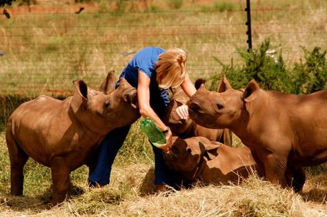 4 Amazing Animal Sanctuaries Who Need Your Help to Continue Saving Animals Rehab Facility, Saving Animals, Baby Rhino, Wildlife Biologist, Wildlife Rehabilitation, Vet School, Vet Student, Rhinos, Animal Sanctuary