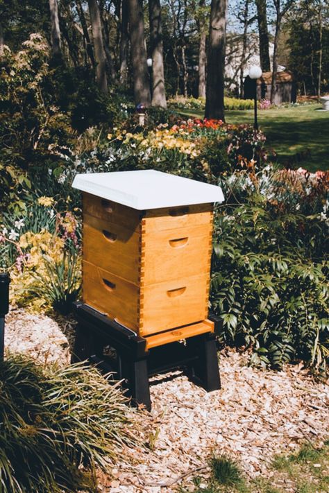 Wildflower Farm, Hive Stand, Vintage Honey Bee, Bee Hotel, Bee Colony, Home Greenhouse, Farm Living, Farms Living, Save The Bees