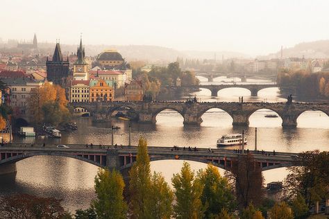 Bridges of Prague - Sigh....I miss this. Prague is my favorite place in the world! It's AMAZING!! Cabbage Pork, Low Angle, Visit Europe, Conde Nast Traveler, Golden Light, Indian Summer, To Infinity And Beyond, Future Travel, A Bridge