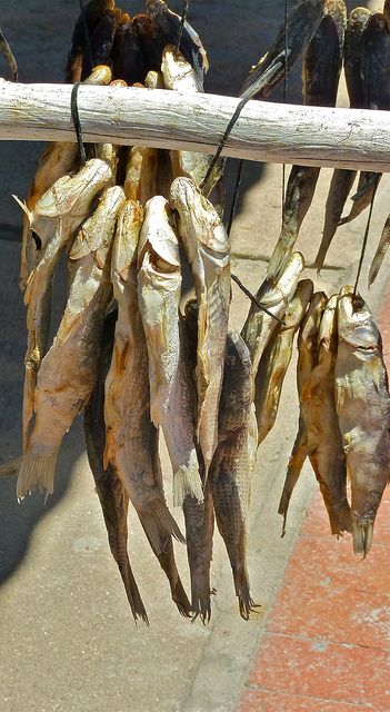 South Africa Food, Dried Fish, Africa Food, South African Recipes, Seaside Village, Out Of Africa, Travel South, Western Cape, African Food