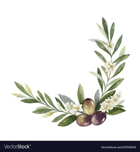 Santa Claus Vector, Watercolor Autumn Leaves, Olive Wreath, Feather Vector, Branch Vector, Hand Painted Frames, Watercolor Wreath, Olive Branches, Year Of The Monkey