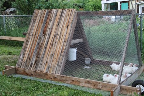 A Frame Chicken Coop, Chicken Coop Garden, Backyard Chicken Coop Plans, Chicken Pen, Chicken Tractors, Diy Chicken Coop Plans, Chicken Coop Run, Chicken Tractor, Backyard Chicken Farming