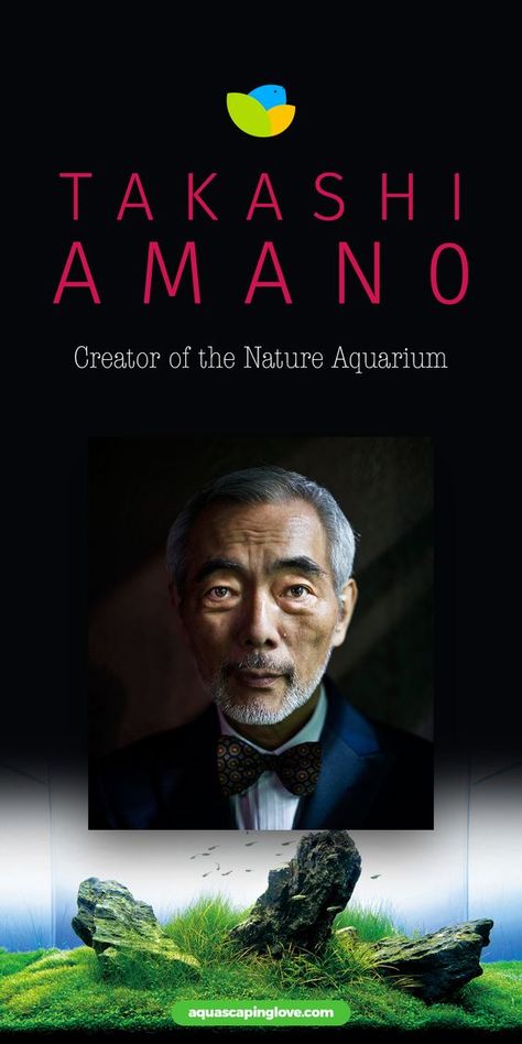 Takashi Amano created a whole new way of aquascaping. He combined Japanese gardening techniques, Wabi-sabi (a Japanese art style that seeks beauty in the imperfect, transient nature of objects), and Zen art. This combination was given the name Nature Aquarium. The philosophy guiding his new term Nature Aquarium is that a complete ecosystem can only be one where plants and fish live in harmony and all of the species in the aquascape are living in their own perfect living environment. Takashi Amano Aquascaping, Japanese Aquascape, Amano Aquascape, Japanese Aquarium, Takashi Amano, Natural Aquarium, Japanese Art Style, Biotope Aquarium, Fish Aquarium Decorations