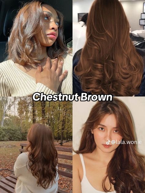 Chestnut Brown Short Hair, Two Block Hairstyle, Block Hairstyle, Hairstyles For Black Girls Braids, Braids Hairstyles 2023, Hairstyle Korean, Black Girls Braids, Brown Short Hair, Hair Color Swatches