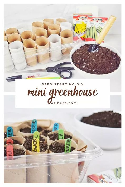 Inside Green House Ideas Diy, Toilet Paper Roll Planter Seed Starting, How To Start Seedlings Indoors, Gardening For Kids Activities, Upcycled Planters Indoor, Diy Inside Greenhouse Ideas, Diy Greenhouse Small, Mini Greenhouse Diy, Seed Starting Indoors Diy