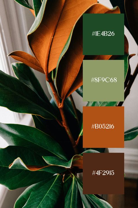 Brown and Green Color Palette: Lush green leaves with a warm brown underside, creating a rich and natural contrast. The combination of earthy tones evokes a sense of warmth and vitality. Army Green Pallet Color Schemes, Leopard Colour Palette, Army Green Color Palette Fashion, Colors With Sage Green Colour Palettes, Rust Yellow Color Palette, Olive And Brown Color Palette, Teal Green Gold Color Palette, Green And Cream Color Scheme, Olive Green And Sage Green