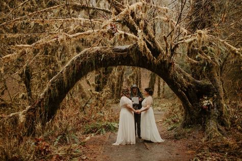 Rainforest Wedding, Hoh Rainforest, Eclectic Wedding, Moody Wedding, Mountain Elopement, Elopement Locations, Elopement Inspiration, See It, Fall Wedding