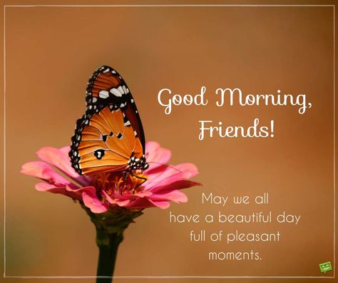 Good morning, friends! May we all have a day full of pleasant moments. Good Morning Boyfriend Quotes, Good Morning Messages Friends, Good Morning My Friend, Good Morning Images Download, Butterfly Quotes, Morning Pics, Butterfly Collection, Good Morning Beautiful Quotes, Good Morning Friends Quotes