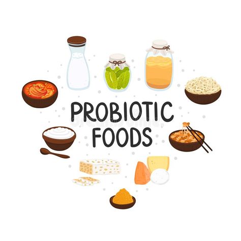 Vector probiotic foods. Best sources of probiotics. Beneficial bacteria improve health. Design is for label, brochure vector illustration Probiotics For Kids, Sources Of Probiotics, Natural Prebiotics, Probiotic Skin Care, Natural Probiotics, Healthy Gift, Prebiotics And Probiotics, Probiotic Foods, Info Graphic