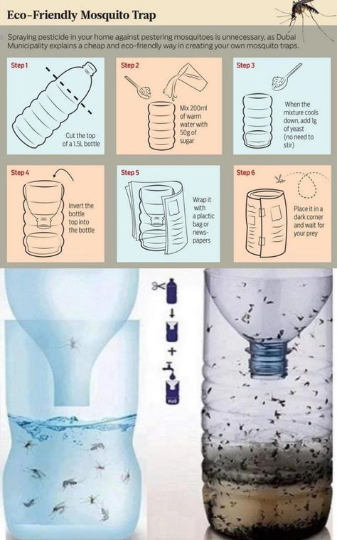 Get Rid Of Mosquitos, Mosquito Trap Diy, Mosquito Repellent Homemade, Mosquito Traps, Diy Mosquito Repellent, Bug Spray Recipe, Nyttige Tips, Diy Pest Control, Natural Mosquito Repellant