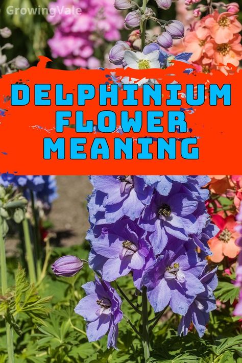 Delphinium Flower Meaning Larkspur Flowers, Ornamental Garden, Larkspur Flower, Delphinium Flowers, Flower Meanings, Attract Pollinators, Delphinium, Cut Flowers, Floral Arrangements