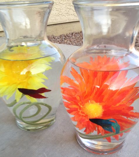 Just made these Beta Fish bowls out of inexpensive jars from Michael's (reg $4.99/e and add a 40% off coupon if you have one), a fake flower with the stem rolled up ($2.00/e but on sale for 40% off), and Beta Fish from PetSmart (or Walmart is cheaper). Cost me $15 total after coupons! Betta Fish Tank Ideas, Fish Tank Ideas, Fish Bowls, Betta Fish Tank, Beta Fish, Fish Supplies, Fake Flower, Fish Bowl, Cool Pets