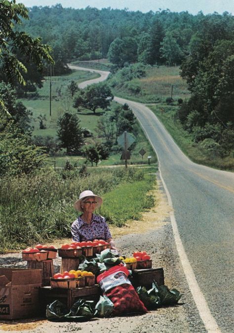 Americana+ Northern Georgia, Vegetable Stand, Foto Portrait, Farm Stand, Down On The Farm, Back Road, Rural Life, On The Road Again, Country Farm