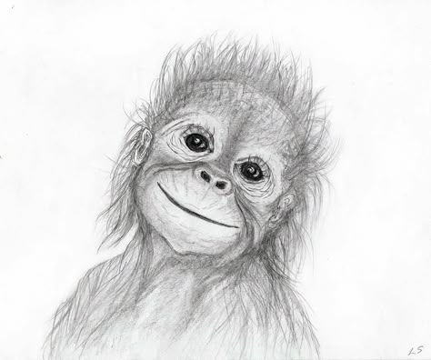 Orangutan Drawing, Monkey Drawing, Baby Orangutan, Baby Animal Drawings, Animal Drawings Sketches, Monkey Art, Easy Drawings Sketches, Pencil Art Drawings, Animal Sketches