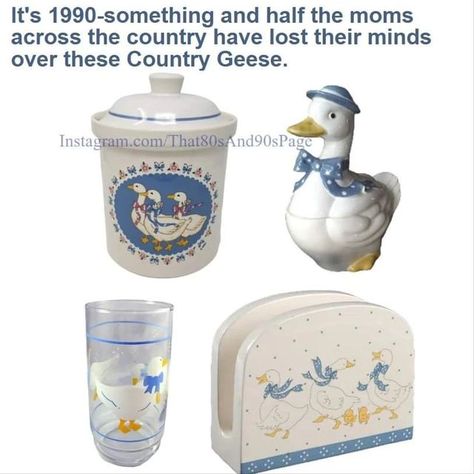 That 80s and 90s Page on Instagram: "If your mom didn't decorate her kitchen with these Country Geese, then you knew someone else's mom who did! #80s #1980s #90s #1990s #eighties #nineties #memories #nostalgia #backinmyday #90slife #funny #hilarious #funnymemes #hilariousmemes #kidsthesedayswillneverknow #todayskidswillneverknow #oldschool #backinmyday #backintheday #90smusic #kidstodaywillneverknow #kidsthesedayswillneverknow #todayskidswillneverknow" Country Goose Kitchen, Goose Kitchen Decor, Country Geese Kitchen Decor, 2000s Kitchen, Homemaking Aesthetic, Apt Kitchen, Grandma Vibes, Childhood Memories 90s, Kids Dishes