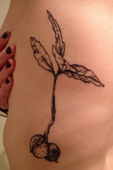 Tree Sapling Tattoo, Black And Blue Tattoo, Seed Tattoo, Acorn Tattoo, Tattoo Pierna, Roots Tattoo, Interesting Tattoos, Lotr Tattoo, Black Line Tattoo