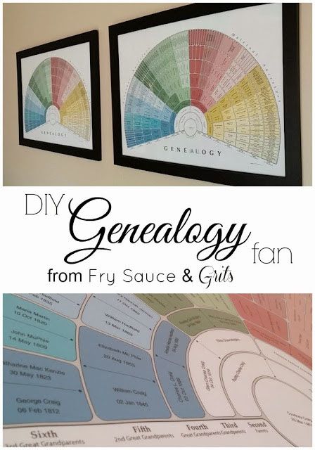 Family History Display Ideas, Genealogy Tree, Poster Grafico, Genealogy Organization, Genealogy Forms, Family Tree Project, Genealogy Chart, Family Tree Chart, Family Tree Genealogy