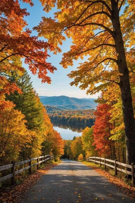 Autumn View Aesthetic, Fall By The Lake, Beautiful Autumn Pictures, Painting View Nature, Shenandoah National Park Fall, Fall In Virginia, Fall Foliage Aesthetic, Autumn Aesthetic Photos, Fall Landscape Wallpaper