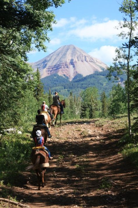 a little horse ride in colorado Trail Riding Horses, Horse Trail, Western Riding, Dude Ranch, Dressage Horses, Horse Ranch, Ranch Life, Western Horse, Emergency Response